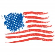 Screen Print US Flag