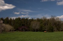 Colonial Park Early Spring 2013